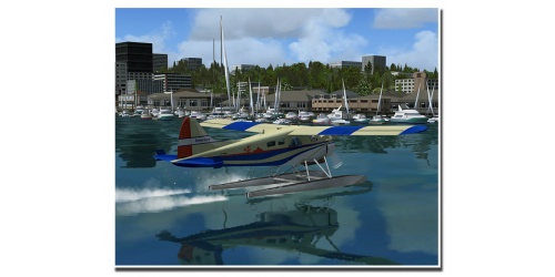 aero_beaver_fsx_11