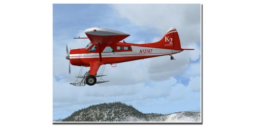 aero_beaver_fsx_28