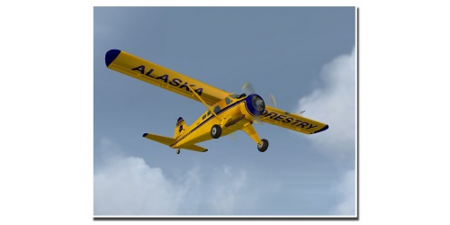 aero_beaver_fsx_31