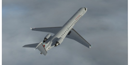 crjprofessional_27