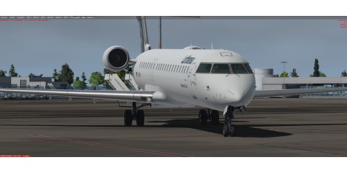 crjprofessional_4
