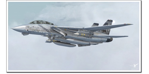 f-14-x-39_1120010749