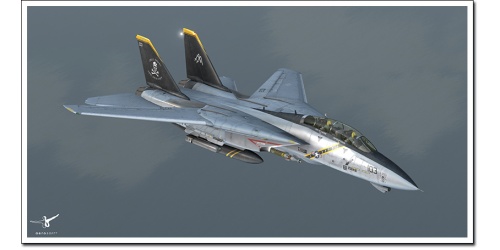 f-14-x-43_520678643