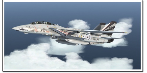 f-14-x-60_1587642889