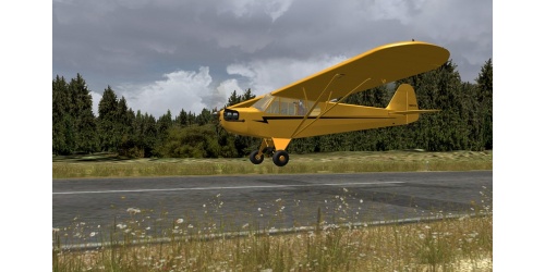 flight1cub_1