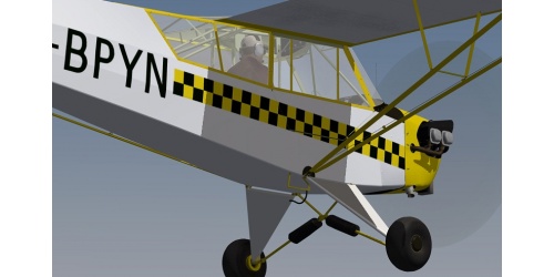 flight1cub_25