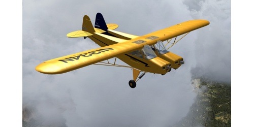 flight1cub_3