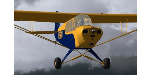 flight1cub_33