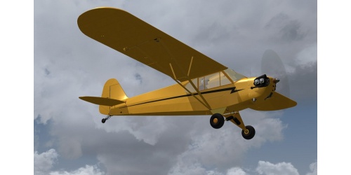 flight1cub_7