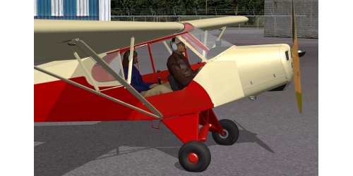 flight1cub_8