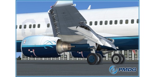pmdg737ngx_21